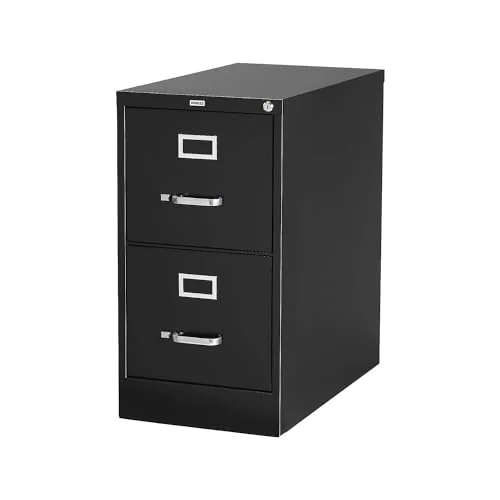 Staples 2-Drawer Vertical File Cabinet Letter Size Lockable Black